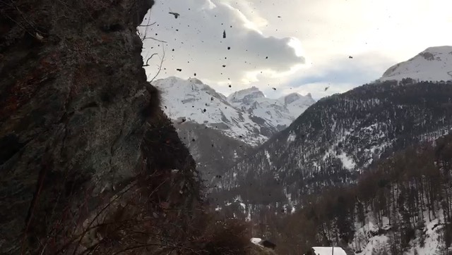 796bc7d1-87ba-4efb-a55f