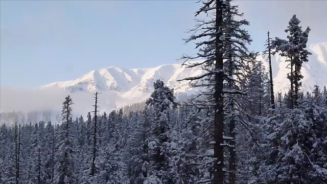 gulmarg-curry-powder-one-1-2