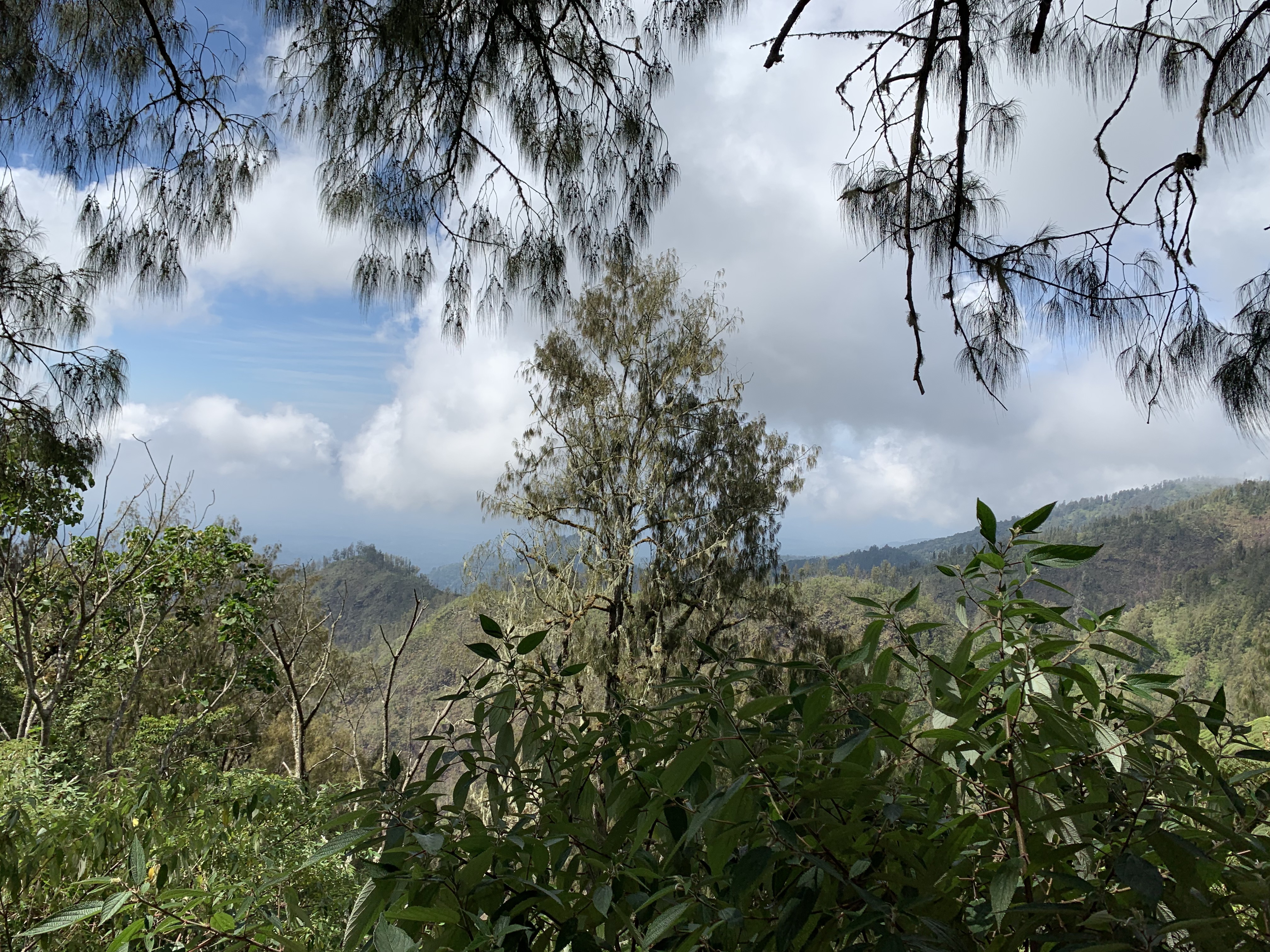 IMG_5656.jpeg